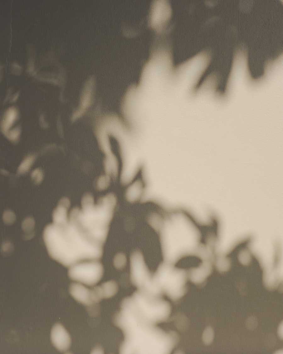 Schatten eines Zweigs auf einer Wand